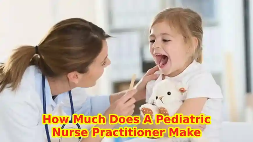 Pediatric Nurse Practitioner Salary in the USA