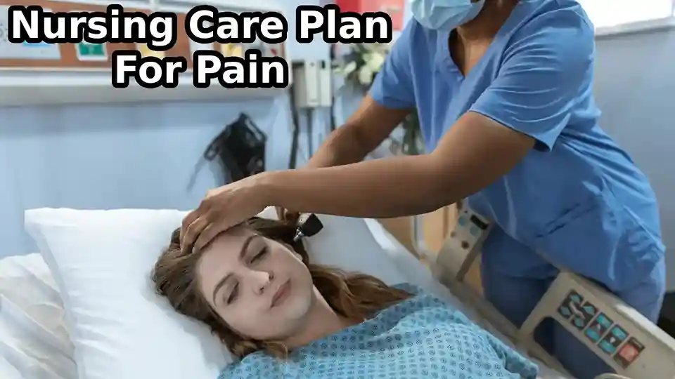 Nursing Care Plan For Pain